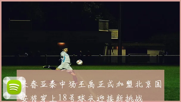 长春亚泰中场王禹正式加盟北京国安将穿上18号球衣迎接新挑战