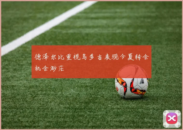 德泽尔比重视乌多吉表现今夏转会机会渺茫